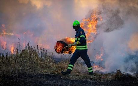 Los incendios forestales extremos de la península ibérica en 2025 son una catástrofe ambiental y un síntoma evidente de la crisis climática