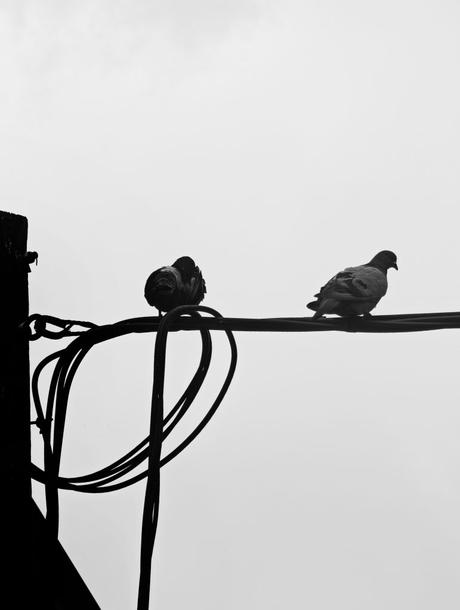 ¿Controladores Aereos – Fotografía creativa móvil en Barakaldo | Ibarakaldo