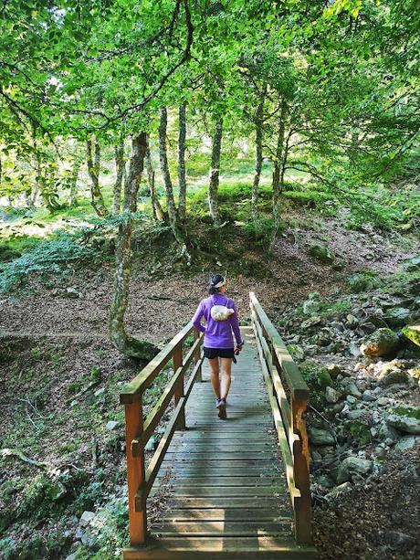 Vega Huerta y Los Moledizos desde Soto de Sajambre