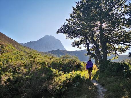 Vega Huerta y Los Moledizos desde Soto de Sajambre