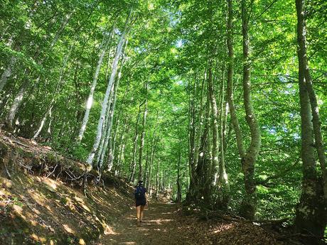 Vega Huerta y Los Moledizos desde Soto de Sajambre
