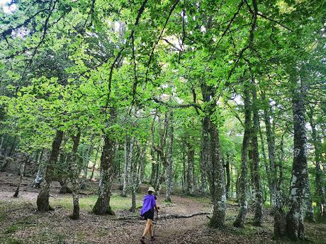 Vega Huerta y Los Moledizos desde Soto de Sajambre