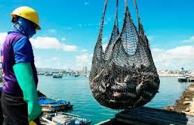 El mar y la sostenibilidad alimentaria