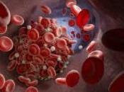 Identifican proteínas clave para tratar enfermedades autoinmunes