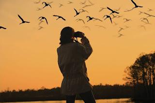 DE LAS VOCES DE AGOSTO