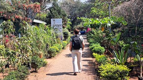 MOZAMBIQUE : ITINERARIO POR LOS BARRIOS DE MAPUTO