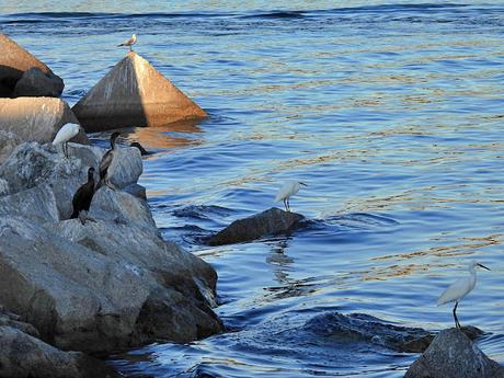 La amenaza de los anzuelos perdidos