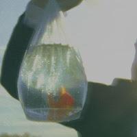 Chet Faker estrena Inefficient Love como nuevo single con videoclip