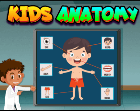 Kids anatomy