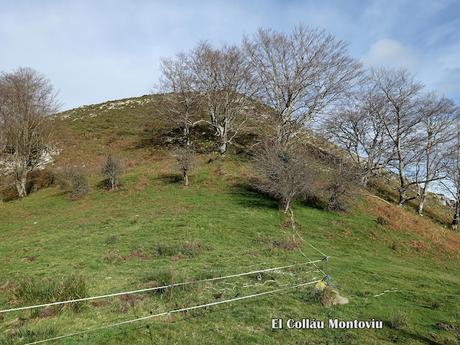 La Pesanca-Treslafuente-Vallemoru-La Pica Montoviu