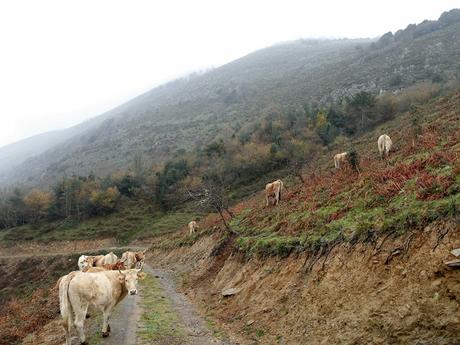 La Pesanca-Treslafuente-Vallemoru-La Pica Montoviu