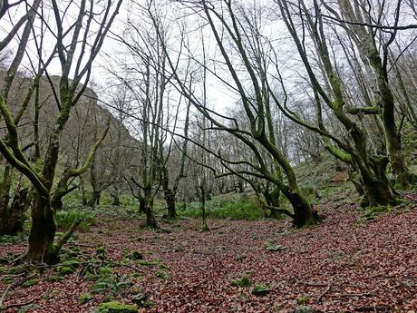 La Pesanca-Treslafuente-Vallemoru-La Pica Montoviu