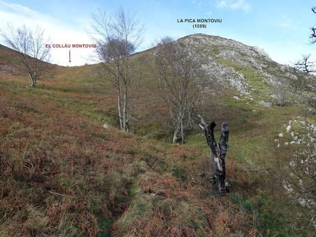 La Pesanca-Treslafuente-Vallemoru-La Pica Montoviu