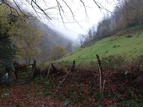 La Pesanca-Treslafuente-Vallemoru-La Pica Montoviu
