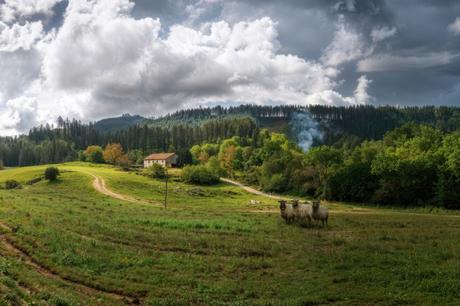 Il Venerdí di Photosatriani N.540