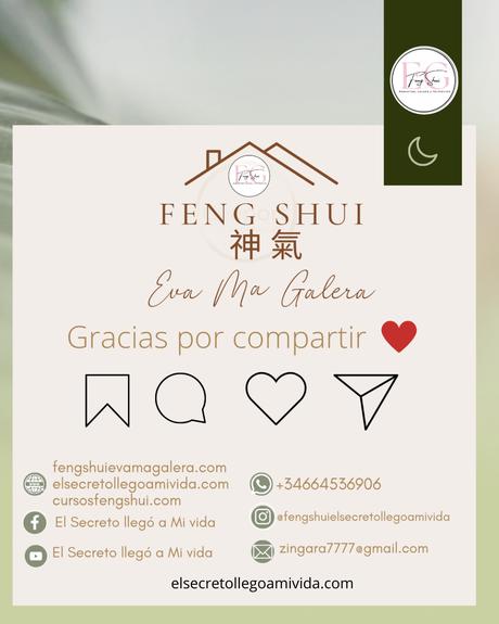 ¿Te cuesta dormir 😴?