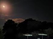 Mcenroe: 'can fernando'