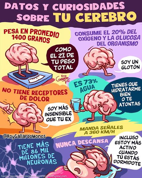 Cerebro