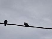 Asamblea Fotografía creativa móvil Barakaldo Ibarakaldo