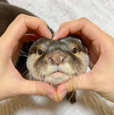 La Iglesia como refugio de la memoria franquista.