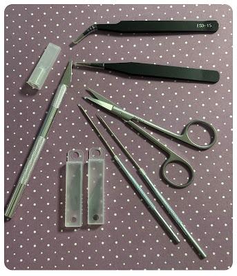 Material de DisecciĂłn