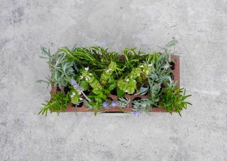 Ladrillo en flor. Ladrillo en flor.