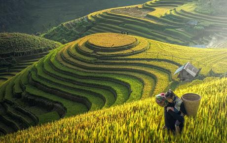 Mejores destinos para Lunas de Miel 2026