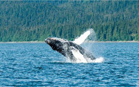 Mejores destinos para Lunas de Miel 2026