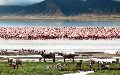 Mejores destinos para Lunas de Miel 2026