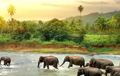 Mejores destinos para Lunas de Miel 2026