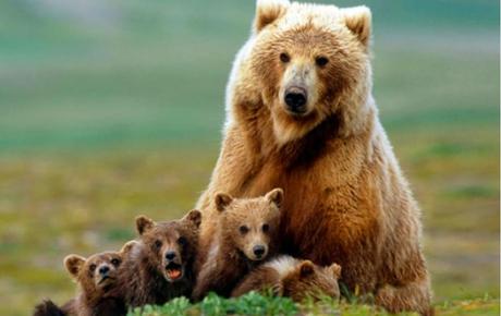 Mejores destinos para Lunas de Miel 2026