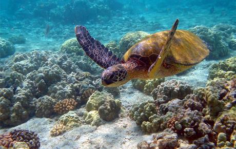 Mejores destinos para Lunas de Miel 2026