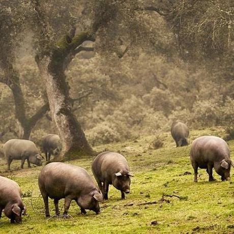 'RESET' OTOÑAL: LA ESCAPADA PERFECTA