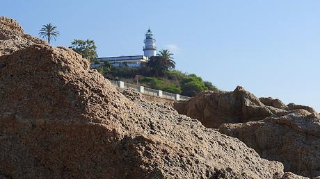 Un habitante en las rocas.