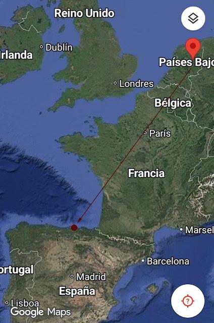 ZARAPITO ANILLADO EN HOLANDA