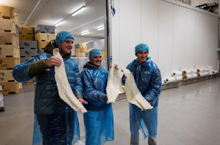 Islandia recibe a los futuros talentos de la cocina europea en un viaje gastronómico y  cultural