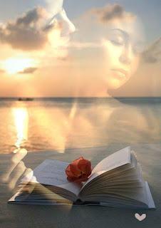 6.327 - MIRÉ LA MESA...