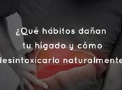¿Qué hábitos dañan hígado cómo desintoxicarlo naturalmente?