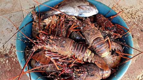 MOZAMBIQUE : INHAMBANE Y LA PRAIA DE TOFO MOZAMBIQUE : INHAMBANE Y LA PRAIA DE TOFO