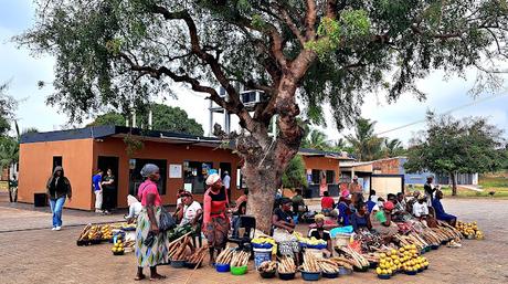 MOZAMBIQUE : INHAMBANE Y LA PRAIA DE TOFO