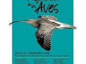 festival migración hace mayor