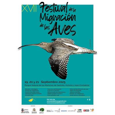 EL FESTIVAL DE LA MIGRACIÓN SE HACE MAYOR