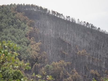 PP entrega 2.000 firmas de los pueblos de Hormigos y El Carpio pidiendo más guardias civiles en la comarca de Torrijos PP entrega 2.000 firmas de los pueblos de Hormigos y El Carpio pidiendo más guardias civiles en la comarca de Torrijos