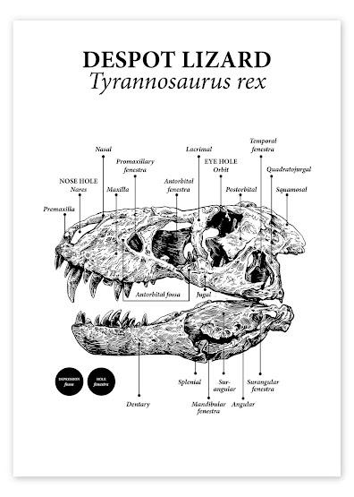 Viajando al pasado con Velozee