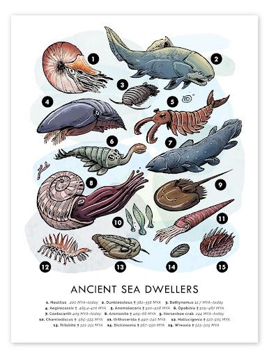 Viajando al pasado con Velozee