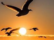 6.328 pasó despacio...