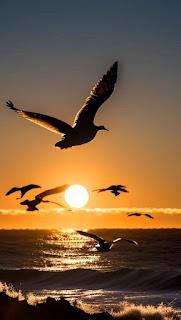 6.328 - PASÓ DESPACIO...