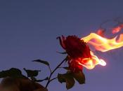 conformarse falsa felicidad, quieres? pierdes?