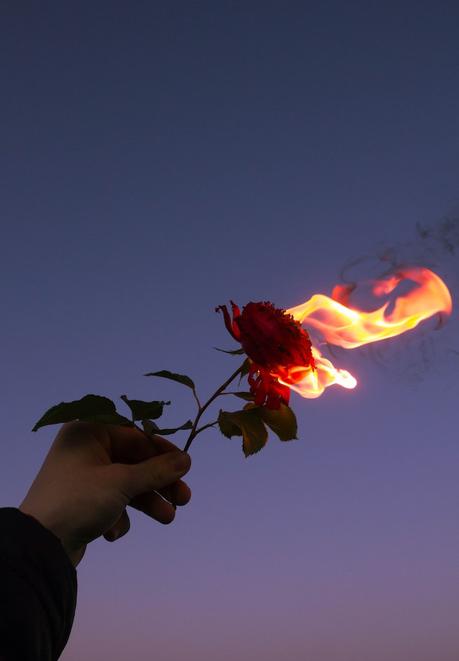 conformarse con la falsa felicidad, quieres? o pierdes?