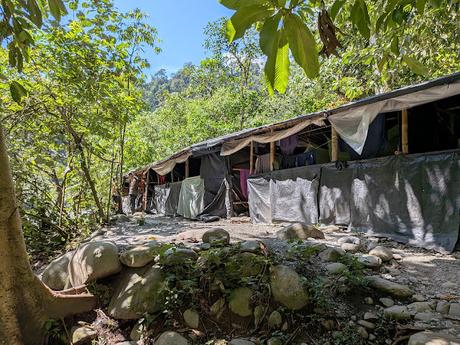Treking en Bukit Lawang (Sumatra) Treking en Bukit Lawang (Sumatra)